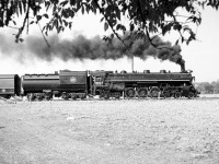 CNR 4-8-4 Northern 6167 is under steam on a UCRS excursion to Picton, on August 26th 1962. This was a great trip, starting from Toronto to Belleville, then Belleville to Trenton Junction, turning south on the Picton Sub for the 30 mile trip to Picton with four run-pasts. Two GP9 units, 4459 & 4472, pulled us backwards to Trenton where we left making a high speed run back to Toronto.<br><br><i>Note: geotagged location not exact.</i>