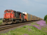 CN 2121 with CN 902(BLE) east bound at Waterworks Sideroad.