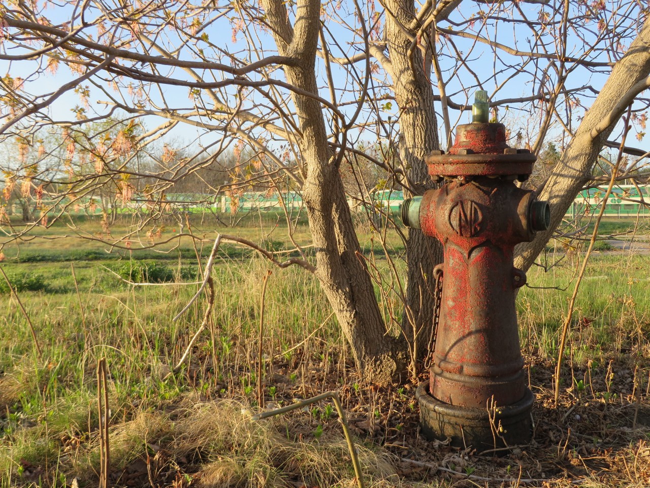 Tucked in the trees to to the south of Barrie's Southshore Community Centre, this fire hydrant would have protected the Allandale roundhouse and the adjacent master mechanics office. Whats left of the Allandale yard is now used by GO Transit. Part of the Roundhouse floor remains behind the hydrant. The master mechanics office was saved and became the front portion of the community centre in 1994. As part of the renovations, We had the fire department hook up to the hydrant to see if it could be used in the reno. As water sprayed out of all sorts of places in the basement, we concluded it was not a good idea!