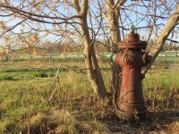 Tucked in the trees to to the south of Barrie's Southshore Community Centre, this fire hydrant would have protected the Allandale roundhouse and the adjacent master mechanics office. Whats left of the Allandale yard is now used by GO Transit. Part of the Roundhouse floor remains behind the hydrant. The master mechanics office was saved and became the front portion of the community centre in 1994. As part of the renovations, We had the fire department hook up to the hydrant to see if it could be used in the reno. As water sprayed out of all sorts of places in the basement, we concluded it was not a good idea!   