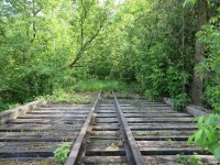 Narrow gauge through the bush. When the tracks were lifted on the CN Beeton spur in the early 90's, the 80 lb. guardrails were left behind on this bridge north of Allimil junction. The Town of New Tecumseth owns most of the right of way, but only a few kilometers south of Tottenham has been converted to trail.