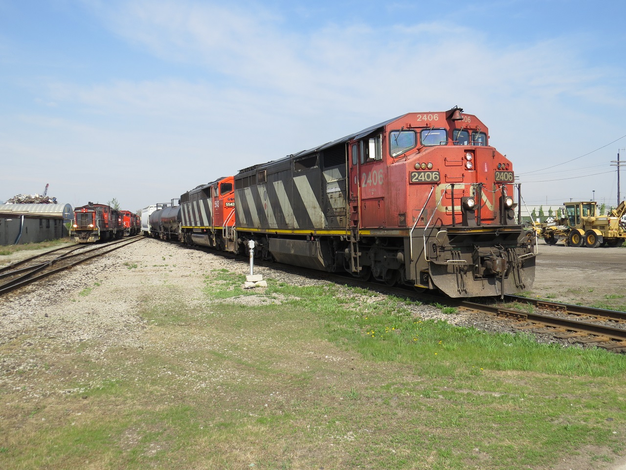 Here in London East, you see a pair of wild Zebras roaming the safari.