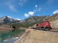 Eastbound grain empties running along the Bow River, about to rumble through Exshaw on the way to Calgary. 