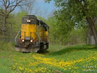 Garden railway, anyone?