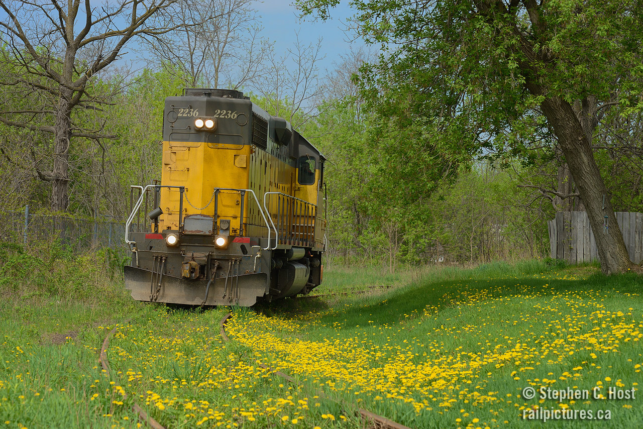 Garden railway, anyone?