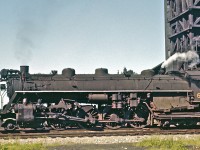 Majestic Northern-type, #6151, takes on coal in Pembroke, Ontario.
<br />
<br />
Mr. Rosamond photographed a similar scene in winter…
<br />
<br />
<a href=http://www.railpictures.ca/?attachment_id=16405>http://www.railpictures.ca/?attachment_id=16405</a>

 







 





