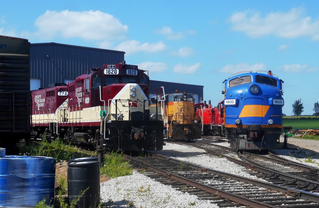 In this shot there are technically 12 locomotives.  OSR 1620, 378, which have just returned from running the Woodstock job.  Between the 378 an the 175 is a visitor to Salford.  CEFX 6573, which has been worked on by ZTR.  Next is 175, coupled  to it's rear is 644.  beside it, even farther back is 503, resting in the shade.  On the outside track is OSR 1400 and 1401 (directly behind it).  farther behind the ex. RLK Fs is 1244 and 1249.  Finally, behind 378 is 383, and behind the CEFX 6573 is the 6508.  The 383 and 6508 ar eboth in the shop.  6508 is being stripped of the CNR green and gold scheme for application of OSR paint.