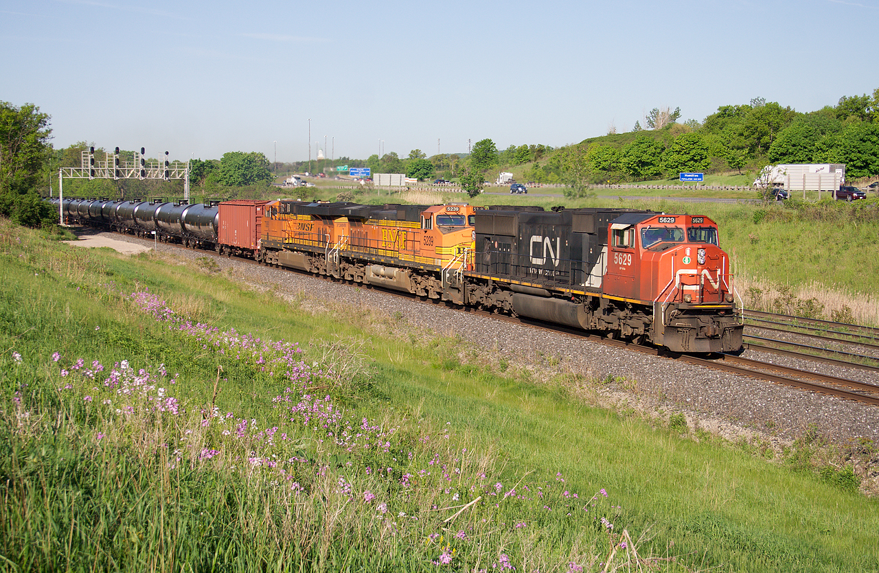 CN U 72091 30 rolls down track three of the Oakville Sub on a beautiful spring morning.  With over 13000 tons of crude oil on the drawbar, CN 5629, BNSF 5239 and BNSF 7388 make easy work of this assignment.