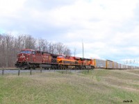 CP 147 is shunting with a few rare visitors. 