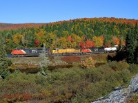 Fall colours were at their peak along the Lac St-Jean sub in northern Quebec, as can be seen with CN 369 heading south with three head end units (CN 8884, CN 2024 and CN 2340) and two more mid-train (CN 5765 & CN 2267) last fall.
