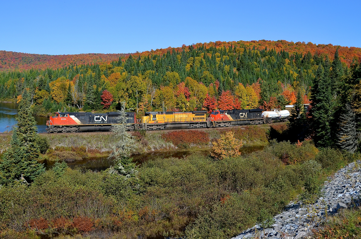 Fall colours were at their peak along the Lac St-Jean sub in northern Quebec, as can be seen with CN 369 heading south with three head end units (CN 8884, CN 2024 and CN 2340) and two more mid-train (CN 5765 & CN 2267) last fall.