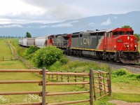 CN nos.2452 & 2561 are climbing out of Armstrong in charge of a northbound freight.