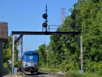 The southbound Adirondack approaches St-Lambert where it will pick up a few passengers before continuing on towards New York.