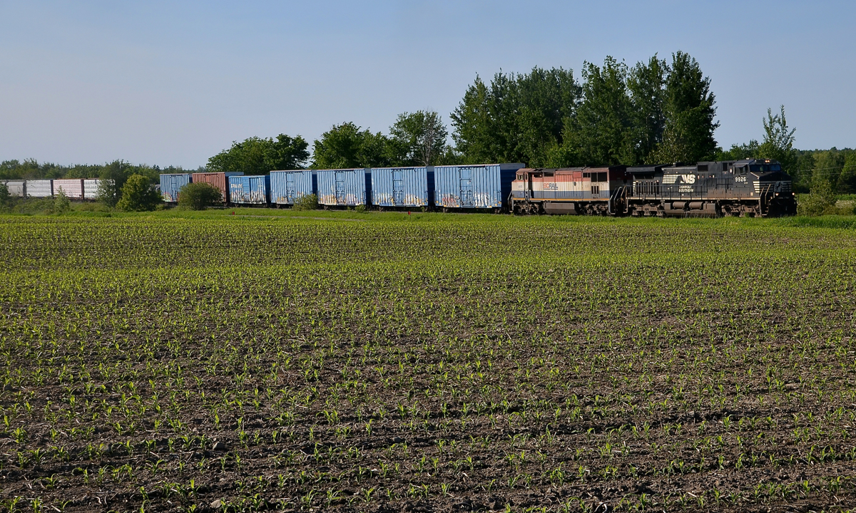 An eclectic lashup composed of NS 9926 & BCOL 4610 leads CN 394 on the SL&A Sherbrooke Sub on their way to Richmond.