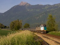 An extremely late Via #1 Canadian hustles at 70mph westward through the eastern Fraser Valley, as Mount Cheam towers high above on a gorgeous, Summer like day. The Canadian has been experience a number of delays in 2015, making late trains such as this one a common sight. 