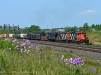 Taking a cue from Marc Dease's <a href=http://www.railpictures.ca/?attachment_id=19139>great photo</a> CN 551 with a pair of 4100's is entering the Aldershot yard lead at Snake with 7 cars from Hamilton.