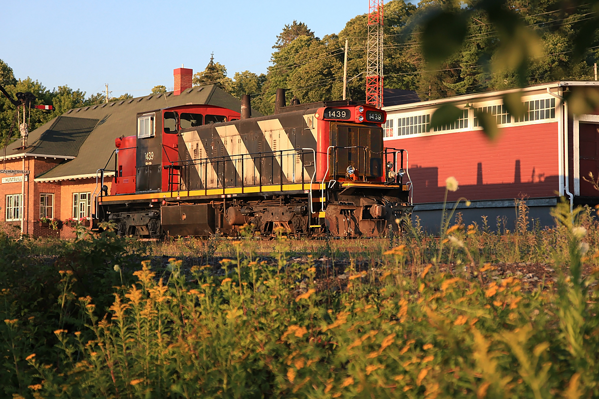 This week we are treated to some rare power (well, rare in this neck of the woods anyway) in the form of GMD1u CN 1439, seen here resting in front of Huntsville Station ready to power CN 595 down to Longford Mills  and back the following morning.