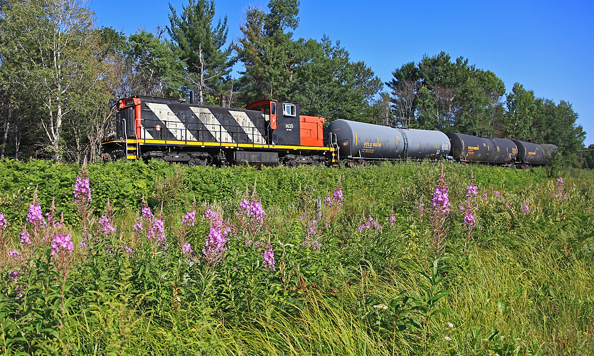 595 heading for Longford Mills with classic GMD power.
