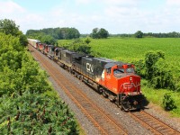 CN 328 made quite the noise as it passed under Frank's Lane bridge with five locomotives in the lead.