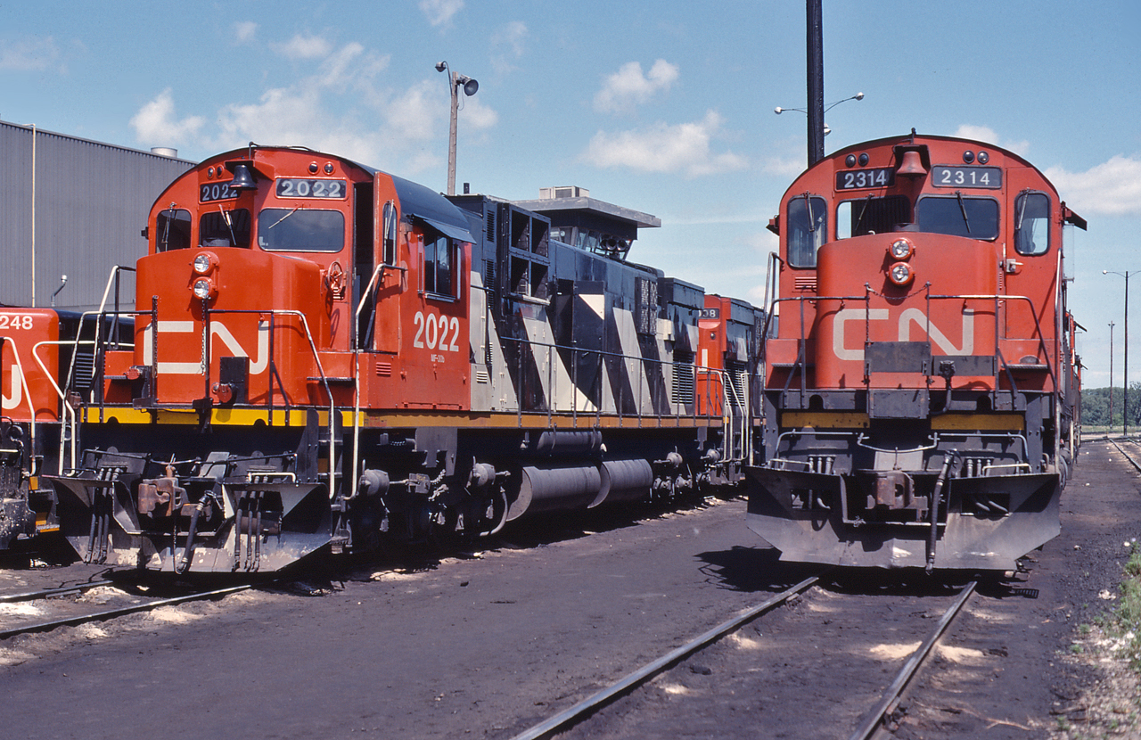 Two consists featuring high horsepower MLW units sit ready to go at the Mac Yard LRC.