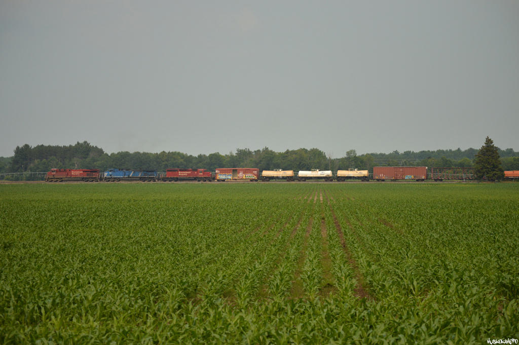 With 420 in the clear ahead, 421 starts to creep up to the light at Baxter. As soon as the light pops up, they'll drop the hammer and CP 8896, CEFX 1034 and CP 5866 will have 421's freight back up to speed heading for the siding at Craighurst for a bad meet with a 118. Not surprisingly, the old SD40-2 in 5866 sounded the loudest and the best!