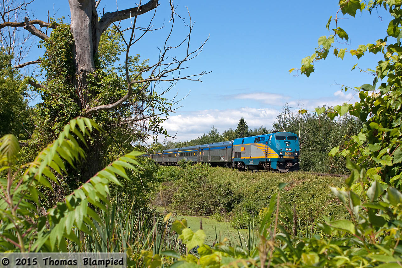With the right-of-way framed by the trackside swamp, VIA 60 heads towards Rouge Hill.