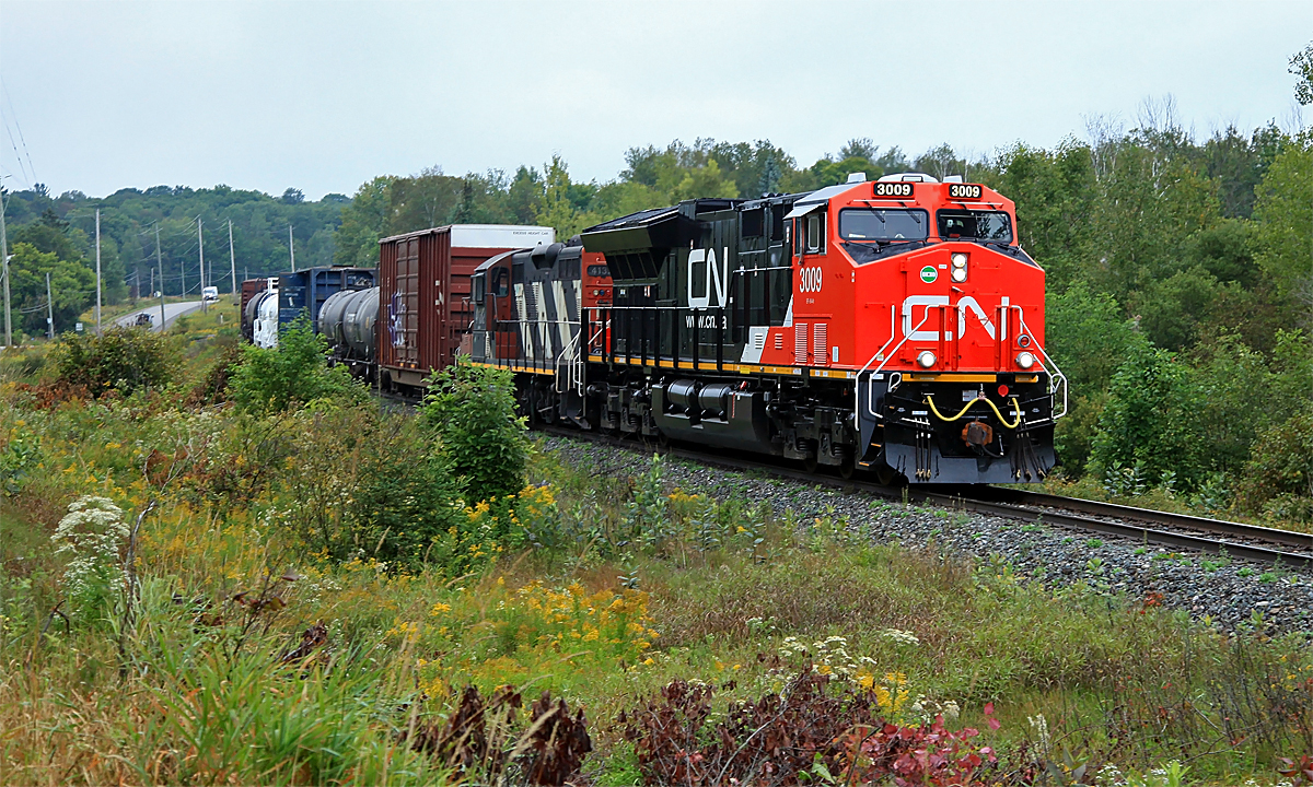 A shiny new GE Tier 4 compliant locomotive leads CN 451 up the Newmarket Sub on a not-so-shiny day. The GP9 trailing is the power for the Huntsville local returning home from weekend maintenance in MacMillan Yard, 451's point of origin. I believe these new locos are officially named ET44AC