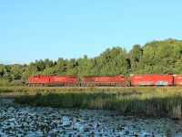 A couple of GE 4400s bring this northbound freight through Caledon as the lengthening shadows mark the end of a beautiful day.