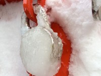 A closeup look at a very frozen lock during the winter of 2014.