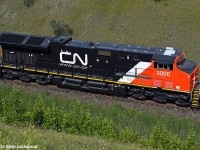 I'm submitting this because I don't want to see the RP.ca dance. Ever. New CN 3000 as 305's DPU at Beare. 1529hrs.