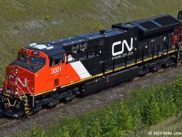 New CN 3001 leads train 305 up the grade at Beare. 1524hrs.