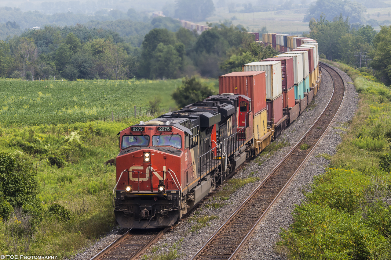 On a hot and humid day, the daily Montreal-Chicago train, 149, makes its way down the grade through Newtonville.