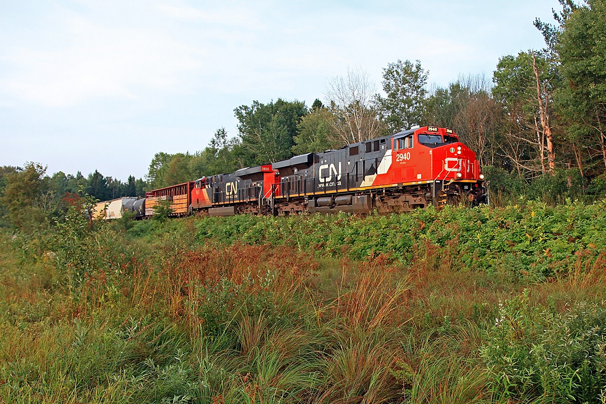 It's starting to look a bit like autumn as a relatively new ES44AC leads 451 north by Allensville at sunrise.