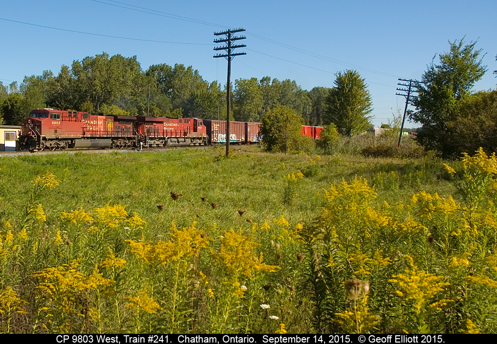 CP 9803 leads another 'toaster' westbound as it approaches what used to be the C&O/CSX diamond in Chatham, Ontario.  In the distance you can see the 'medium' signal governing the barely visible connection track from the old C&O to the CP yard.  My how this vantage point has changed over 25 years!!