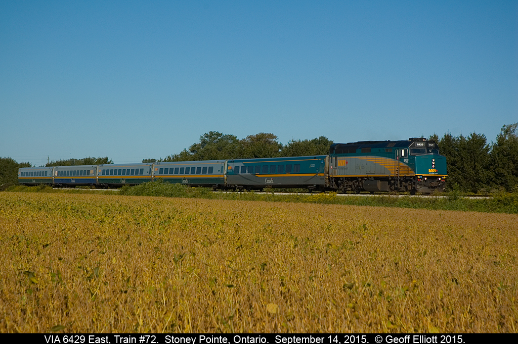 The Soya beans are starting to ready for harvest as VIA 6429 leads a 5 car LRC set on it's journey from Windsor to Toronto on September 14, 2015.