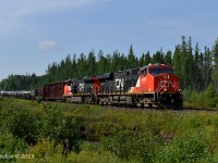 CN 2939 & 2917 pull the train up the small grade as CN 451 passes mile 213 of the Newmarket sub.