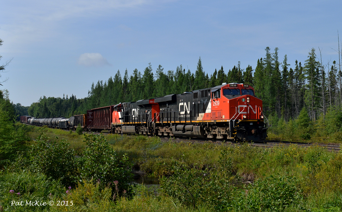 CN 2939 & 2917 pull the train up the small grade as CN 451 passes mile 213 of the Newmarket sub.