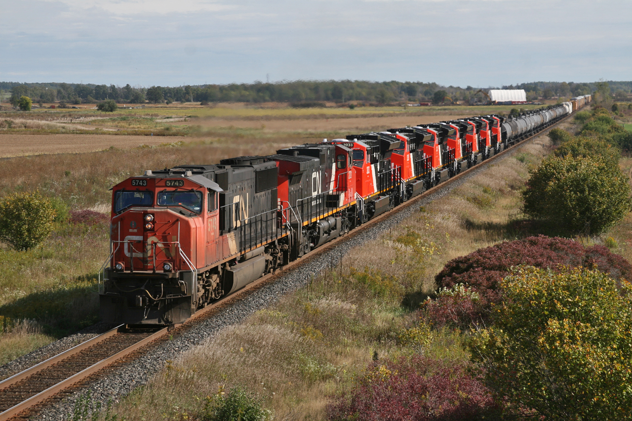 How Much Does It Cost To Go Up Into The Arch In St Louis Literacy Basics