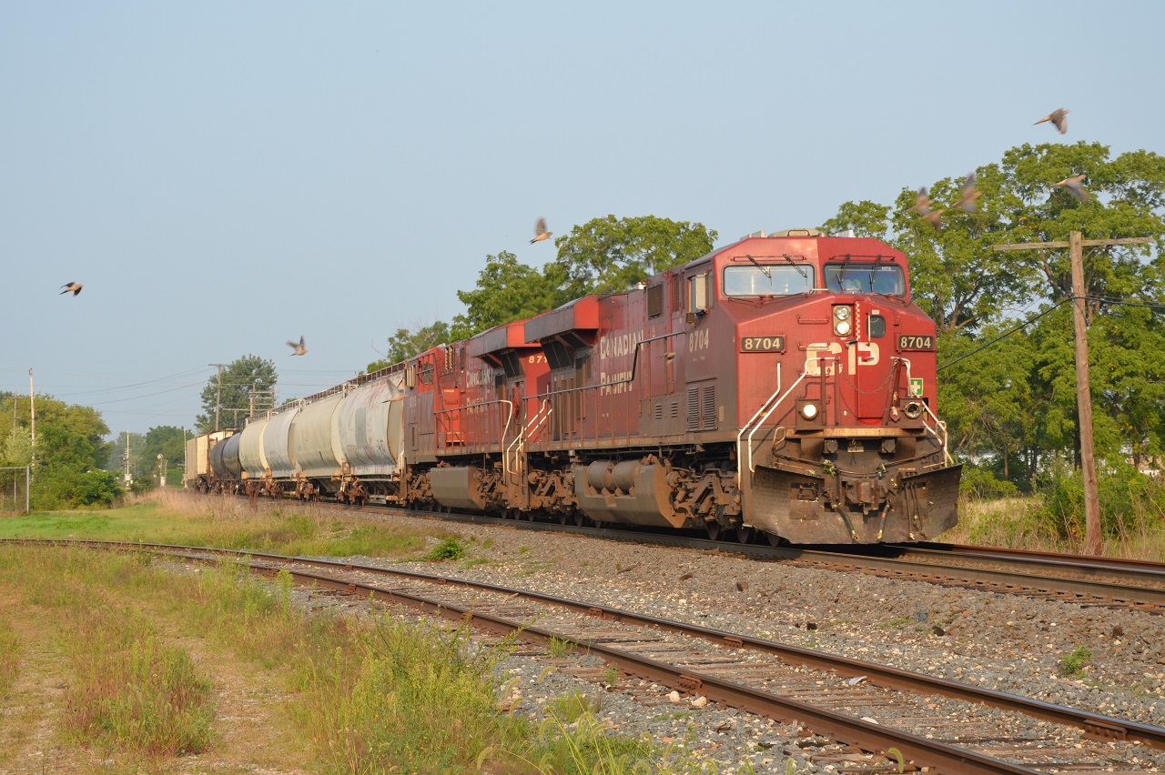 With a whopping 8 cars CP 2-255 heads West in to London yard stirring up some doves. 8704 has some damage from hitting a large object.