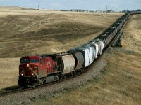 Westbound Grain train 355, Lethbridge to the Coast via Crowsnest and Golden, crosses the Castle River on a new section track built between Cowley and Pincher in the late 1980's due to the Oldman dam.