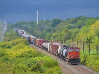 Storm clouds are approaching and it will pour in an hour, but in the meantime I had a few minutes of sunshine (just about the only all weekend) as CN 368 at right passes CN 377. CN 368 has CN 2202 at the head end and CN 3000 mid-train.