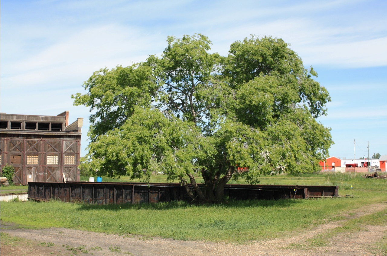 Railpictures.ca James Booth Photo Long retired CN turntable at Hanna