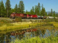 Southbound C.P.R. mixed freight midway between Cranbrook and Moyie Lake headed for the border crossing at Kingsgate, Canada and Eastport, U.S.A.  