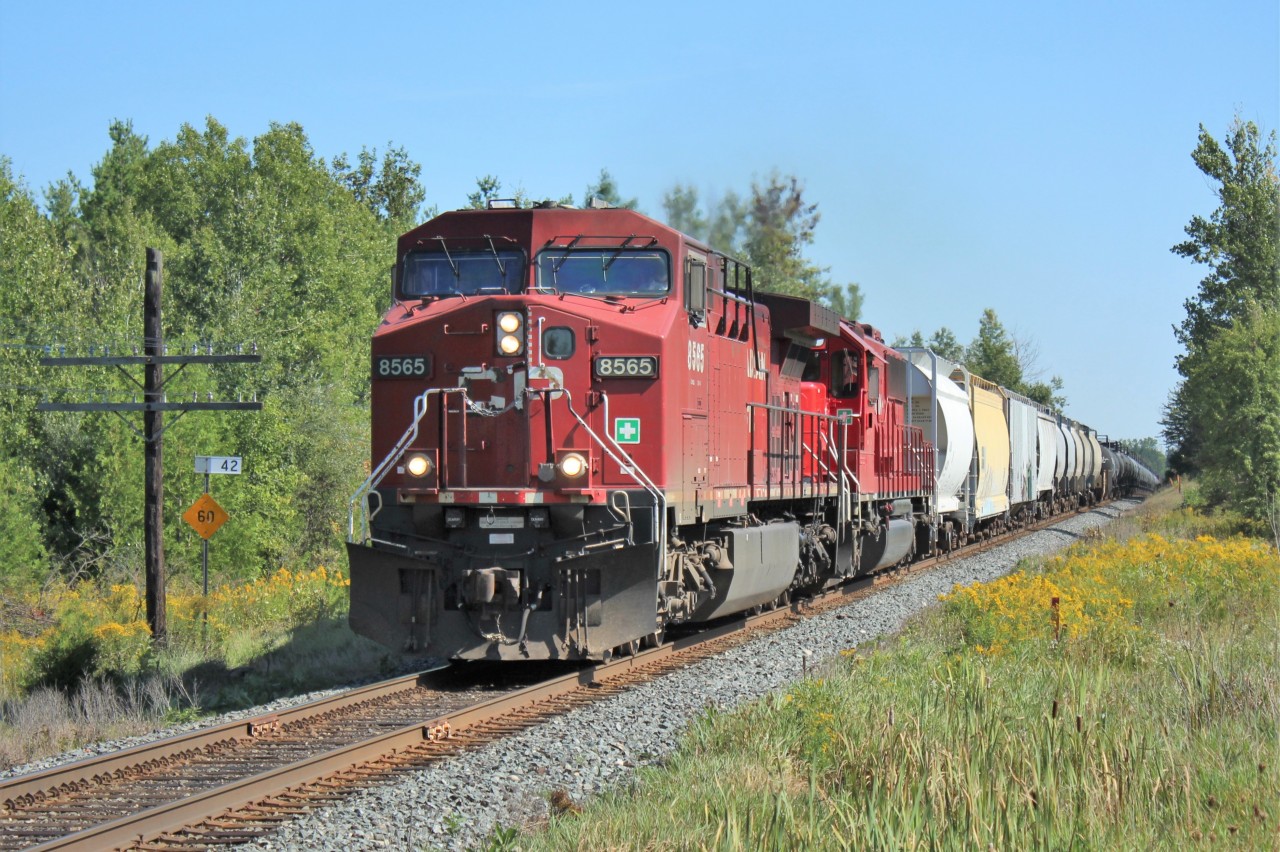 Here is CP 8565 with CP 6254 (ex Soo 6054) passing MM42 on the Galt sub after coming up from Hamilton. Who would know, that in less than 5 minutes, they would collide with a pick up truck 3 crossings later at Concession #7, (of which I have photographed many trains over the past). The truck driver and dog survived the collision. After a few hours, the train would continue on to Galt with only a few scratches to show for the collision.