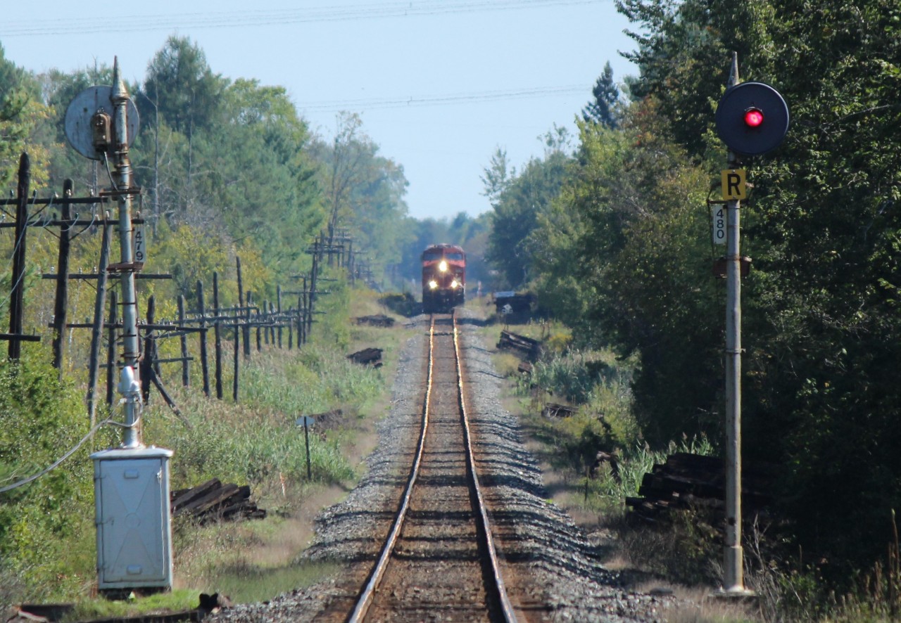 CP 8565 sits just before signal 480 on the Galt sub after colliding with a pick up truck at the crossing of concession #7 on this hot hazy late summer day with its lights shining off the sun baked rails.