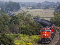 One of my favourite trains to catch! A CN oil train makes its way through Newtonville. 
CN 2881 leads this empty snake of oil cans (U721), with the help of CN8101, recently repainted in CN colours. 
