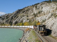 IC SD70 1005 leads a healthy train of lumber products from North Central BC (gathered at Prince George) along the shores of the Athabasca River.