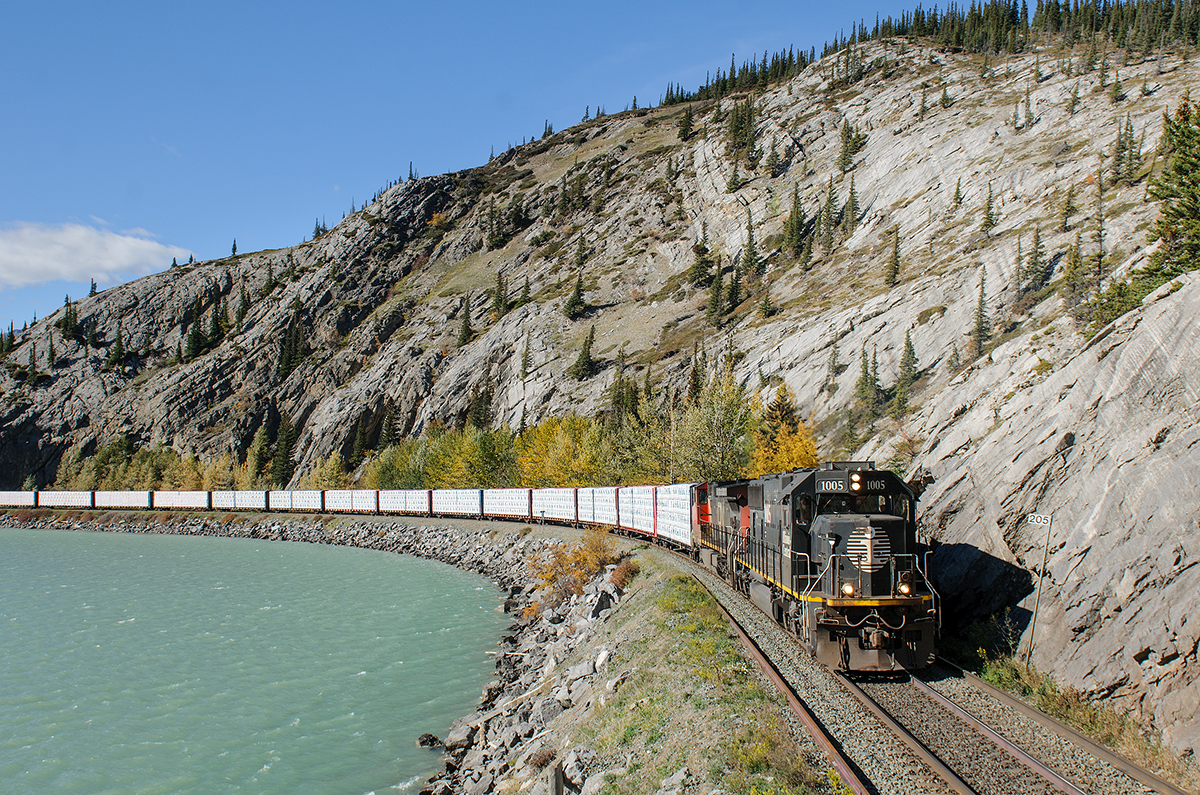 IC SD70 1005 leads a healthy train of lumber products from North Central BC (gathered at Prince George) along the shores of the Athabasca River.