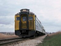 This is what VIA RDC's looked like in the Spring. The CN orange would be almost black.
The slide indicates that the train is eastbound and that it was taken in Kitchener, but I do not know where it was taken, but it might have been west of Glasgow St.
