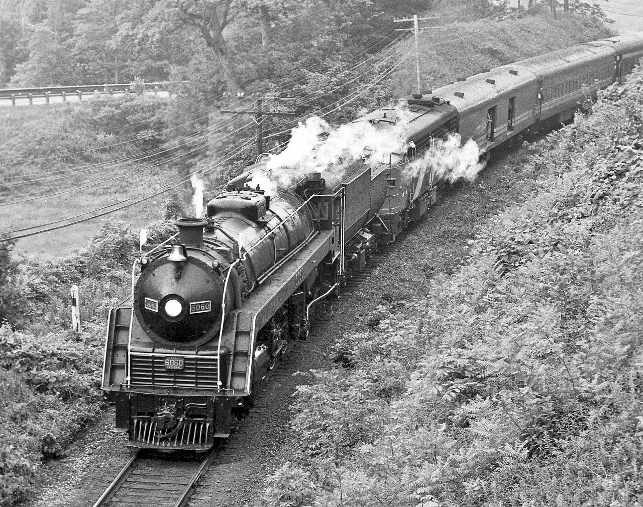 Mountain-type #6060 and FPA-4 #6785 head northbound through Toronto's Don Valley enroute to Allandale.